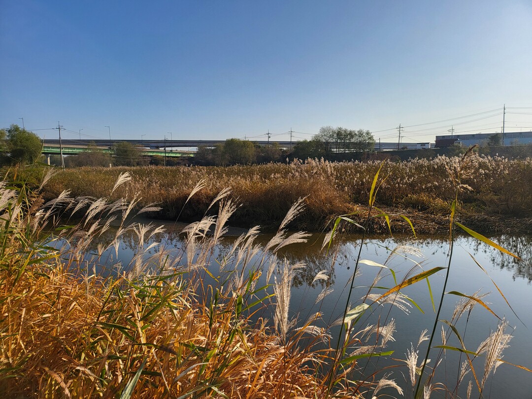 강매석교의 늦가을