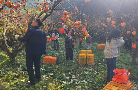 중·장년층 ‘일하고 여행도 하는’ 체류 프로그램 선보여